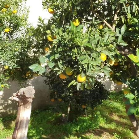 فندق مبيت وإفطار Sweet Rosa *