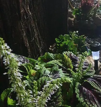 فندق مبيت وإفطار Sweet Rosa مارسالا